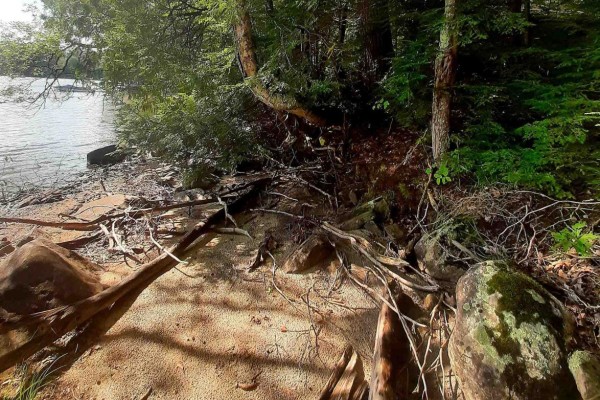 0 Fire Route 267, Trent Lakes, ON, photo 3