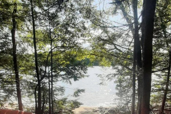 View through trees of a bright, sunlit lake with a sandy path. - 0 Fire Route 267, Trent Lakes