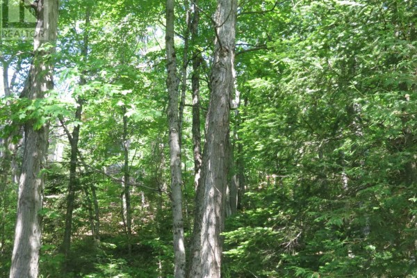 0 Fire Route 330 Route, Trent Lakes, ON K0M1R0 Photo 3