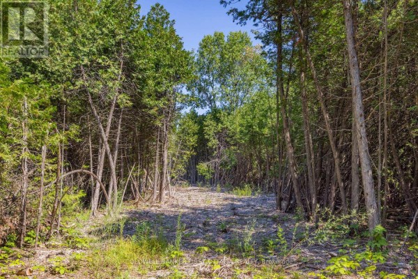 0 Forbes Road, North Grenville, ON, photo 2