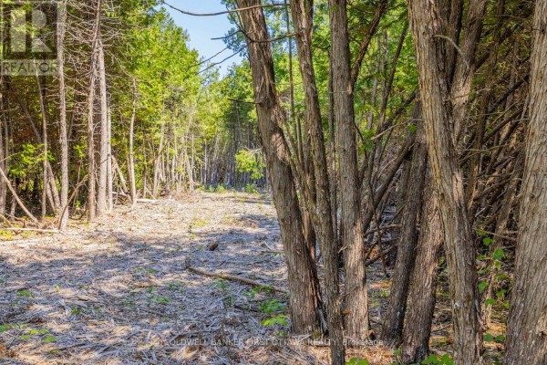 0 Forbes Road, North Grenville, ON K0G1N0 Photo 4