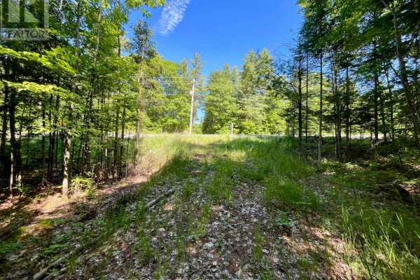 0 Foymount Road, Bonnechere Valley, ON K0J1T0 Photo 5