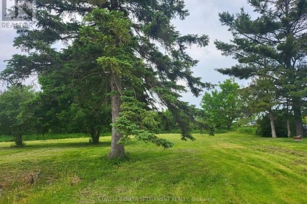 View of a grassy landscape featuring tall pine trees and lush vegetation in the background. - 0 Franklin Street N, Smiths Falls
