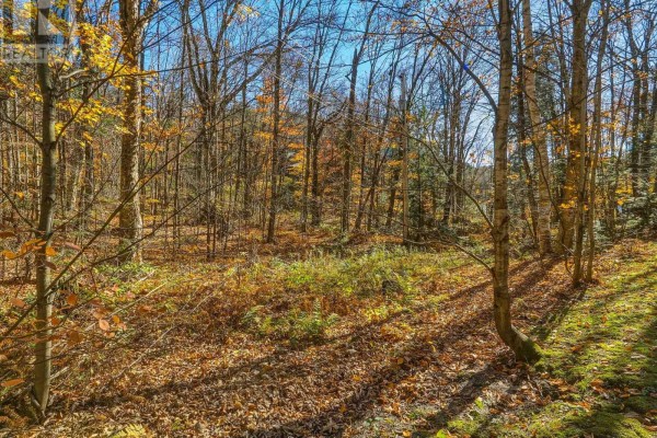 0 Frau Lane, Bracebridge, ON P1L1X3 Photo 4