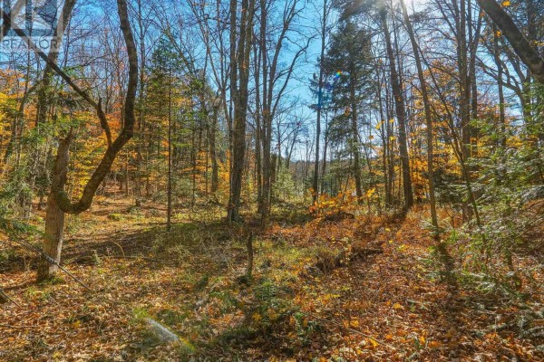 0 Frau Lane, Bracebridge, ON P1L1X3 Photo 5