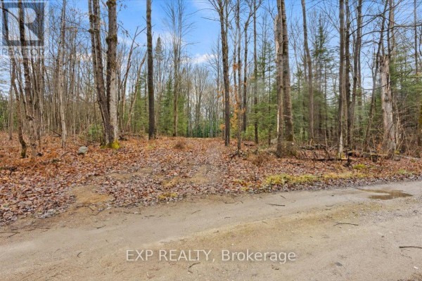 0 Gelert Road, Minden Hills, ON, photo 3