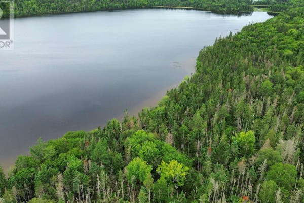 0 Gillis Lake Road, Gillis Lake, NS B2A4H7 Photo 3