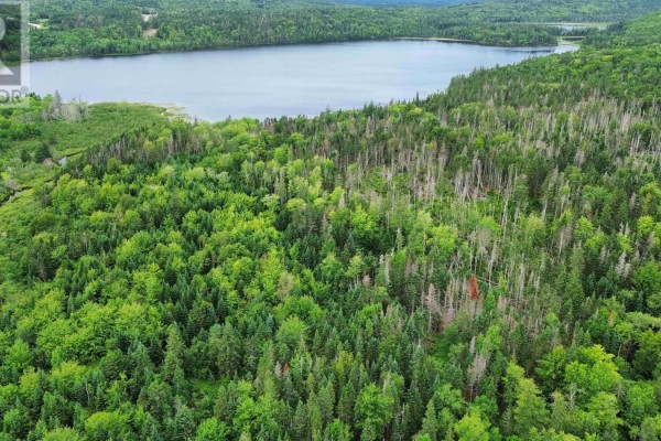 0 Gillis Lake Road, Gillis Lake, NS B2A4H7 Photo 4
