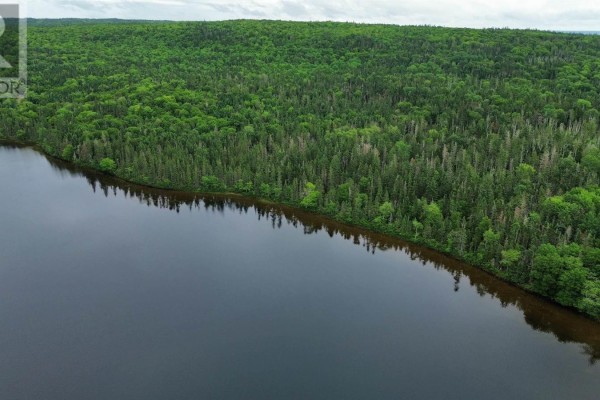 0 Gillis Lake Road, Gillis Lake, NS B2A4H7 Photo 5