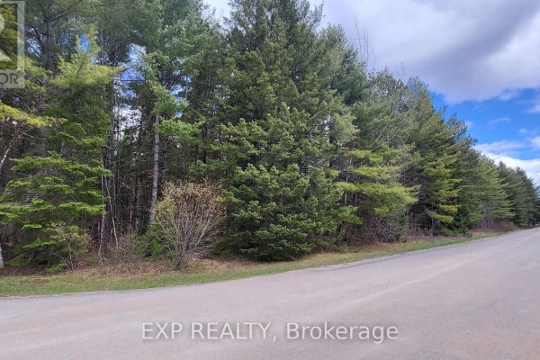 Primary Bedroom - 0 Ginza Street, Greater Madawaska, ON K0J2R0 Photo 4