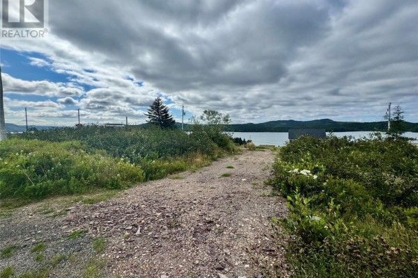 0 Goulding Street, Sunnyside, NL, photo 2