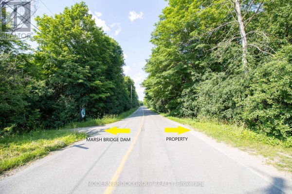 View down a paved road lined with mature trees, with yellow arrows indicating the property and dam trail. - 0 Graham Lake Road, Front Of Yonge
