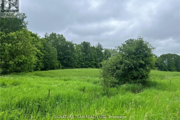 0 Grant Settlement Road, Whitewater Region, ON, photo 3
