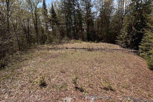 Clearing in wooded lot with brown leaves covering the ground and rocky terrain. - 0 Highway 118, Faraday