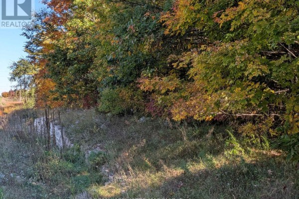 0 Highway 15 Road, Rideau Lakes, ON, photo 3