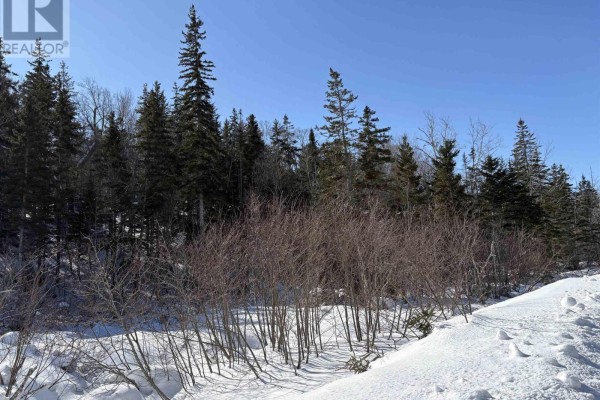 0 Highway 19, Dunvegan, NS B0E1N0 Photo 4