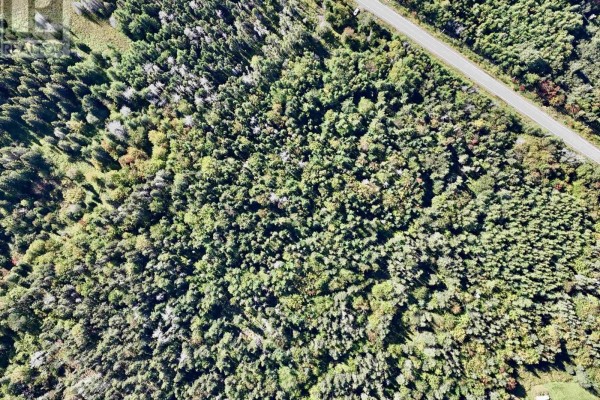 0 Highway 395, Ainslie Glen, NS B0E3M0 Photo 5