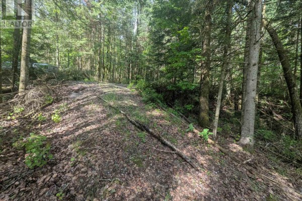 0 Highway 503 Highway, Highlands East, ON, photo 3