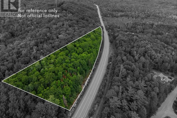 0 Highway 60 Highway, Lake Of Bays, ON, photo 2