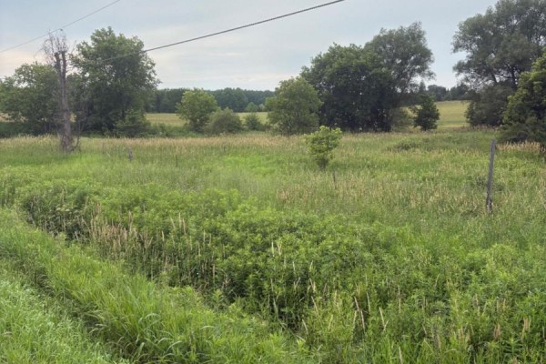 0 Highway 89, Innisfil, ON, photo 3
