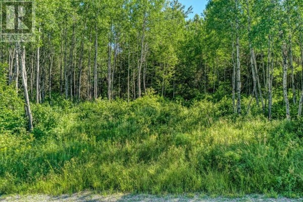 0 Husky Trail Road, Markstay Warren, ON, photo 3