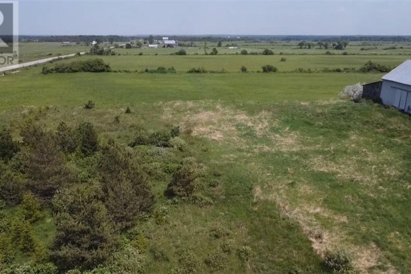 Aerial view of a cleared lot with a cluster of pine trees and a small white house with a brown roof. - 0 Hwy 551, Providence Bay