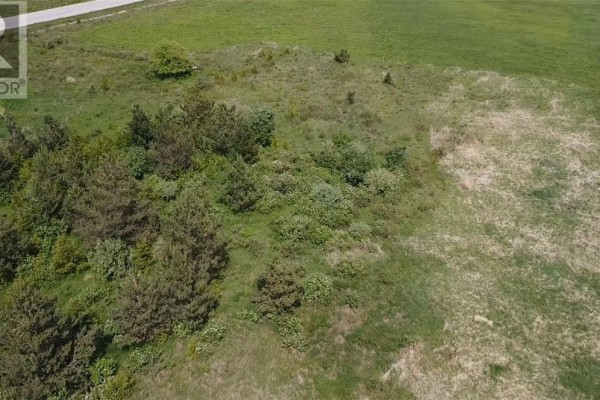 Aerial view showing a residential house, pine trees, and farm buildings alongside a rural road. - 0 Hwy 551, Providence Bay