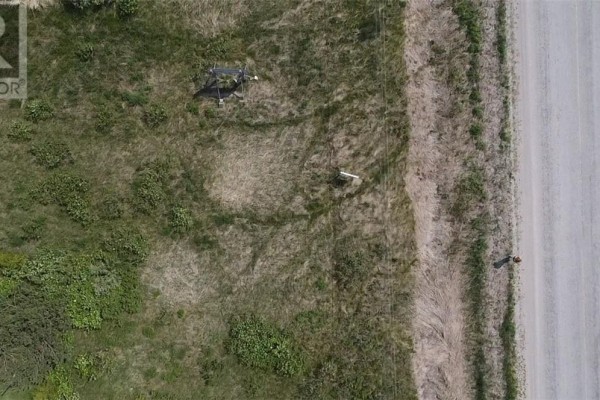 Overhead view of a plot of land with scattered pine trees, dry grass, and a residential building. - 0 Hwy 551, Providence Bay