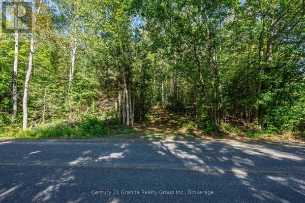 0 Irondale Road, Highlands East, ON, photo 2