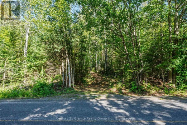 0 Irondale Road, Highlands East, ON, photo 3