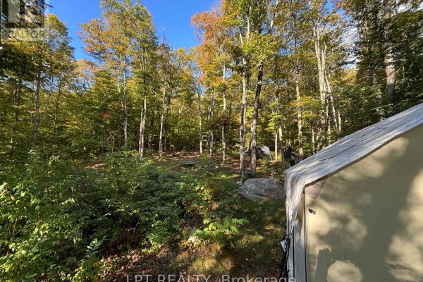0 Island Lake, Lot 23 Road, Kearney, ON P0A1M0 Photo 5