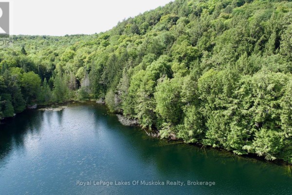 View of a calm lake with a shoreline of lush green trees and submerged logs. - 0 Island Lake Wao Island, Kearney