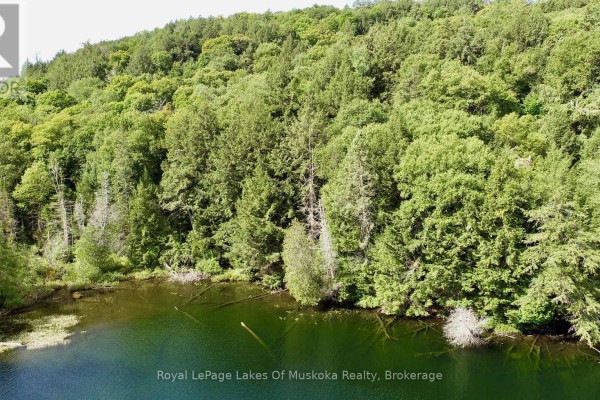 Green trees densely cover a hillside sloping down to the dark blue water of Island Lake Wao Island. - 0 Island Lake Wao Island, Kearney