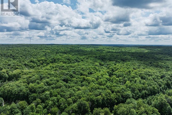 0 Kashagawigamog Lake Road, Minden Hills, ON, photo 2