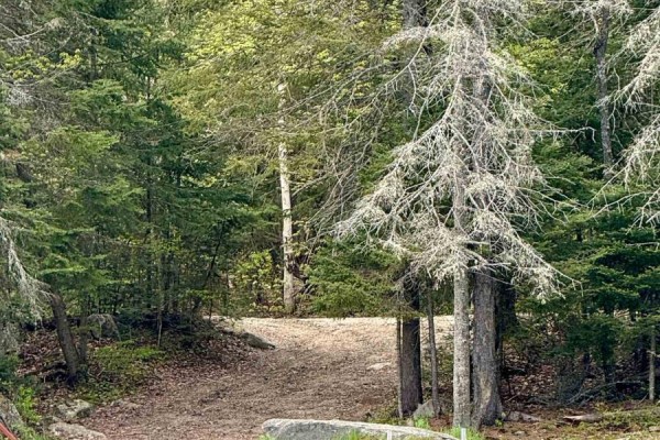 0 King Lake, Machar, ON P0A1X0 Photo 2