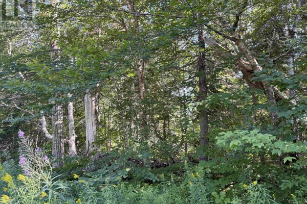 0 Kingross Crossing Road, Big Intervale, Margaree Valley, NS, photo 3