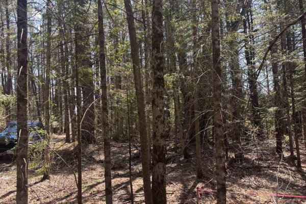 0 Kirkpatrick Lane, Bracebridge, ON, photo 3