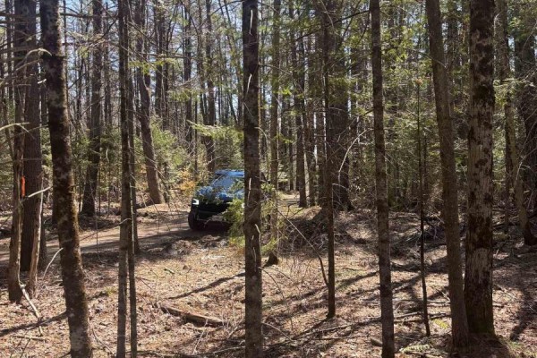 A dark SUV drives on a dirt path through a dense forest with tall evergreen and deciduous trees. - 0 Kirkpatrick Lane, Bracebridge