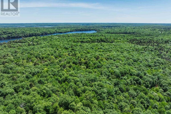 0 Kushog Lake Road, Algonquin Highlands, ON, photo 2