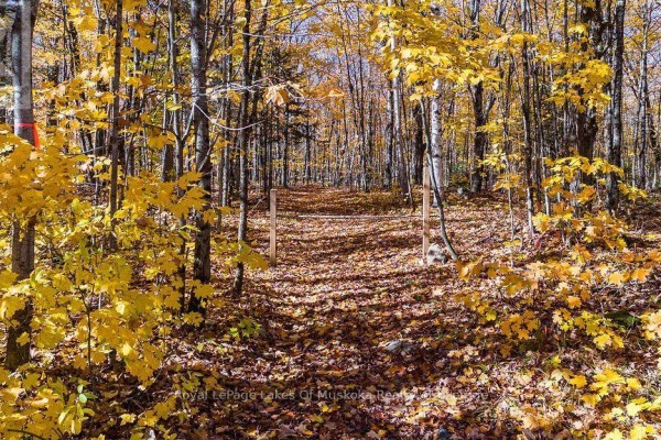 0 Lakeshore Road, Armour, ON P0A1C0 Photo 4