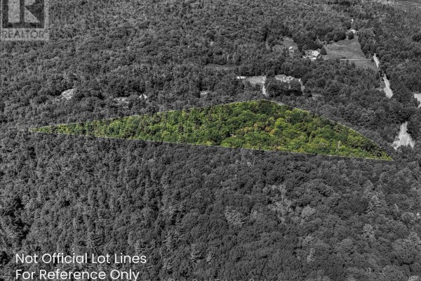0 Langford Road, Lake Of Bays, ON, photo 2