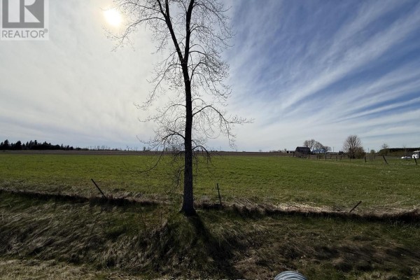 0 Lapasse Road, Whitewater Region, ON K0J2L0 Photo 5