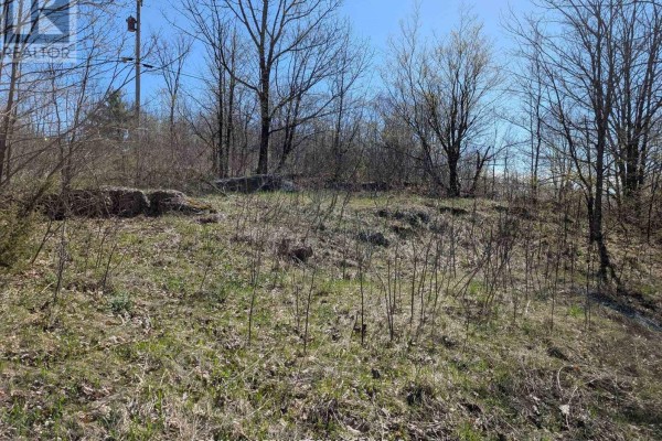 0 Little Crosby Lake Road, Rideau Lakes, ON, photo 2