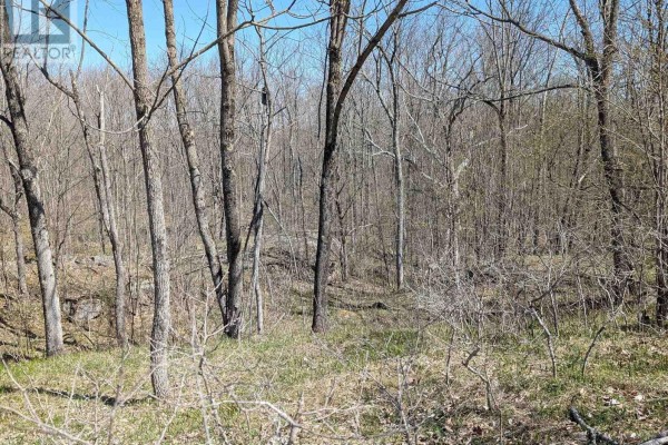 0 Little Crosby Lake Road, Rideau Lakes, ON, photo 3