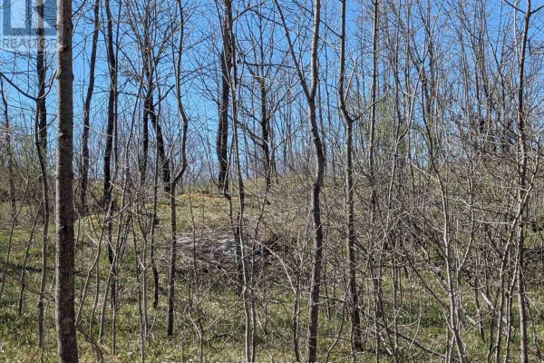 0 Little Crosby Lake Road, Rideau Lakes, ON K0G1X0 Photo 4