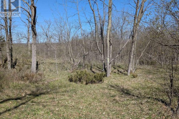 0 Little Crosby Lake Road, Rideau Lakes, ON K0G1X0 Photo 5