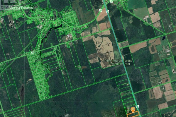 0 Lot 25 3 Pt, Lakeridge Road Concession, Georgina, ON L0E1N0 Photo 3