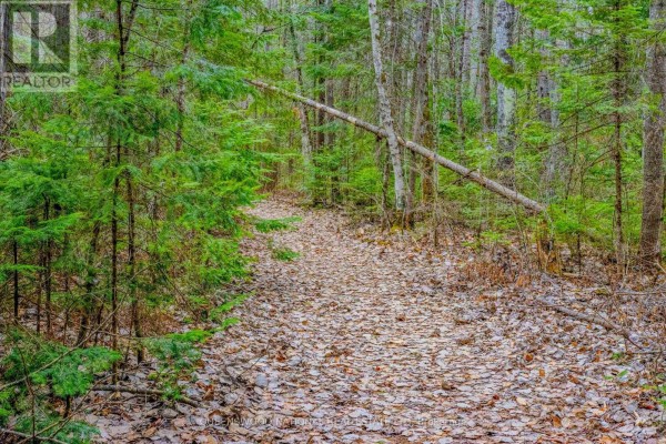 0 Lower Craigmont Road, Madawaska Valley, ON K0J1L0 Photo 4
