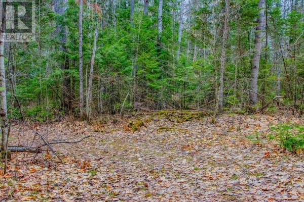 0 Lower Craigmont Road, Madawaska Valley, ON K0J1L0 Photo 5