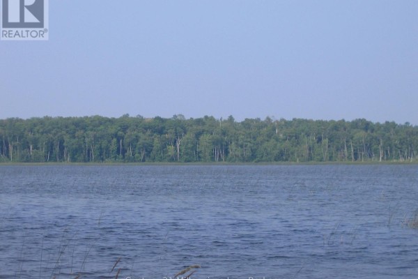 0 Lt 26 Con 2 Wbr Albemarle Concession, South Bruce Peninsula, ON N0H2T0 Photo 4